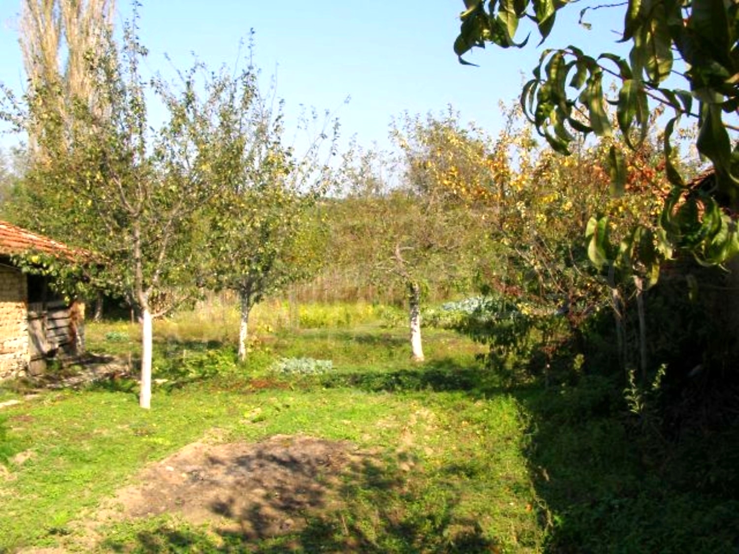Gallery Picture 24