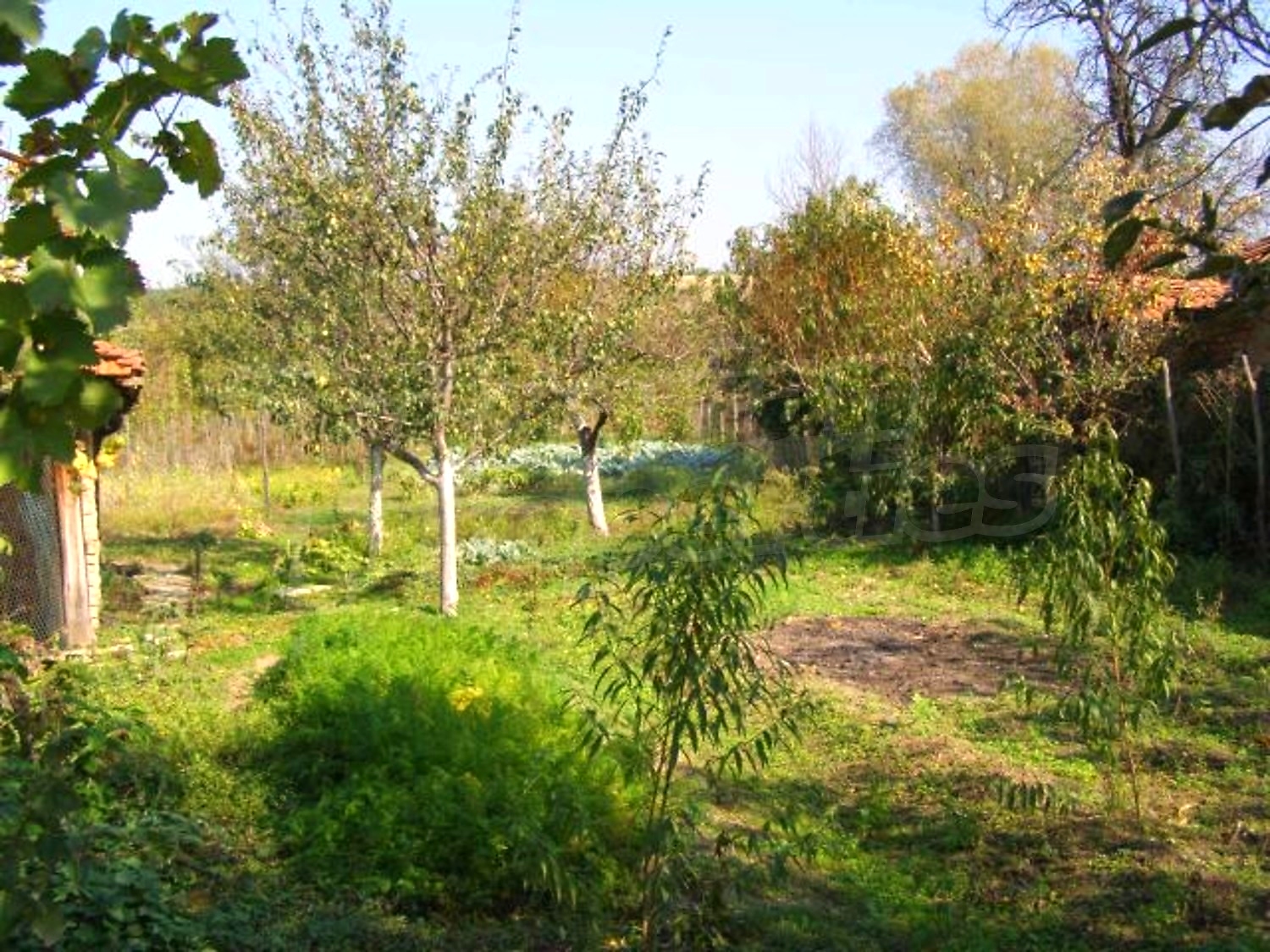 Gallery Picture 25