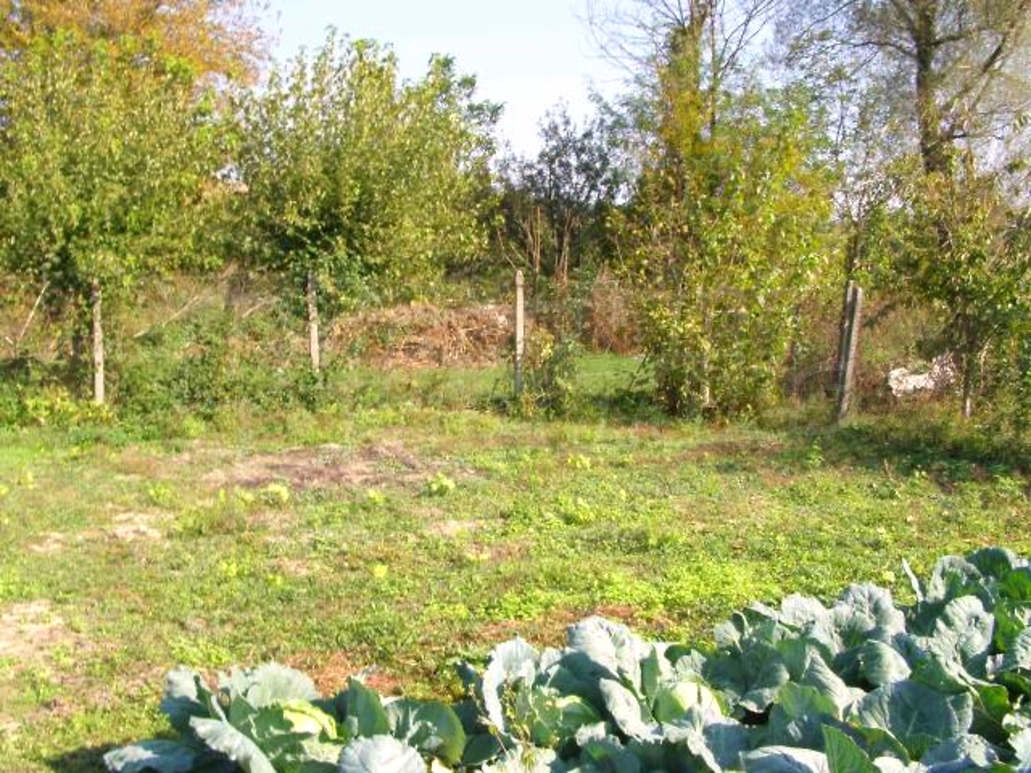 Gallery Picture 31