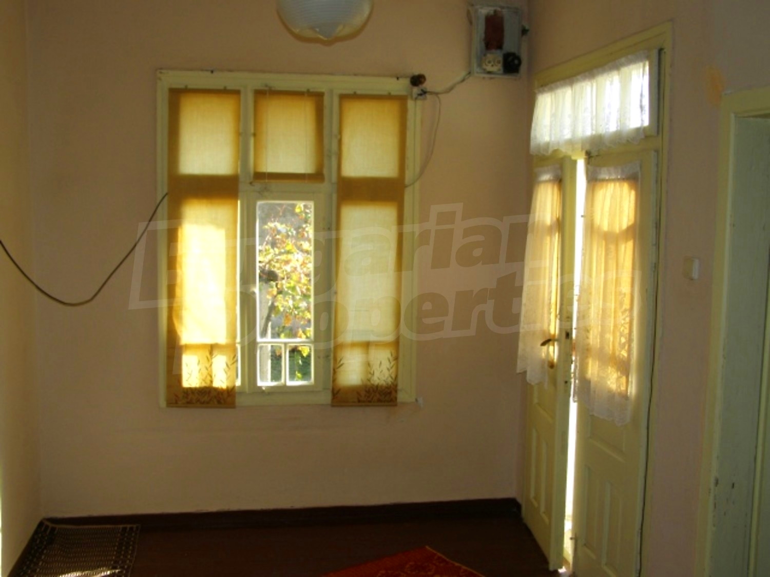 Gallery Picture 5