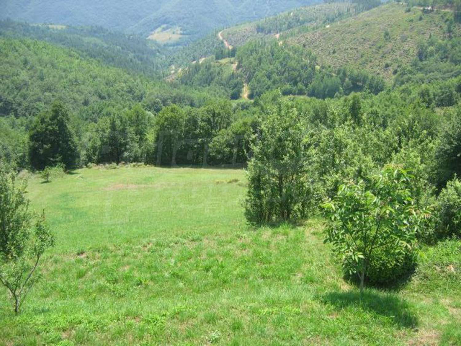 Gallery Picture 10