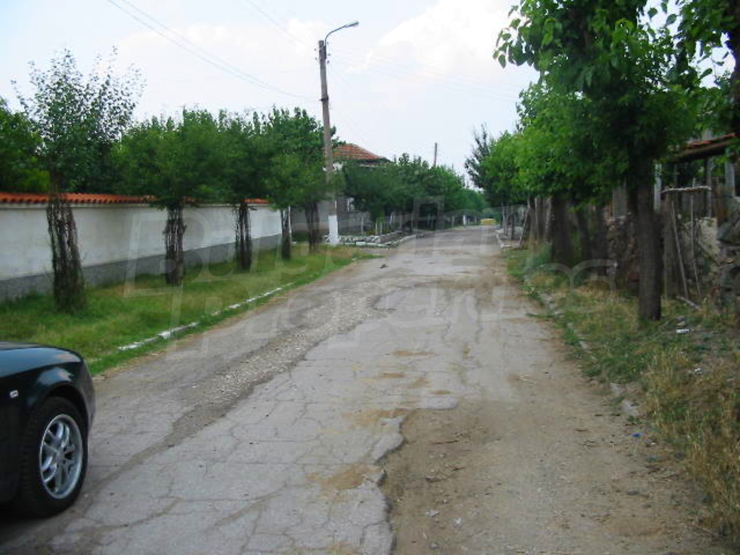 Gallery Picture 16