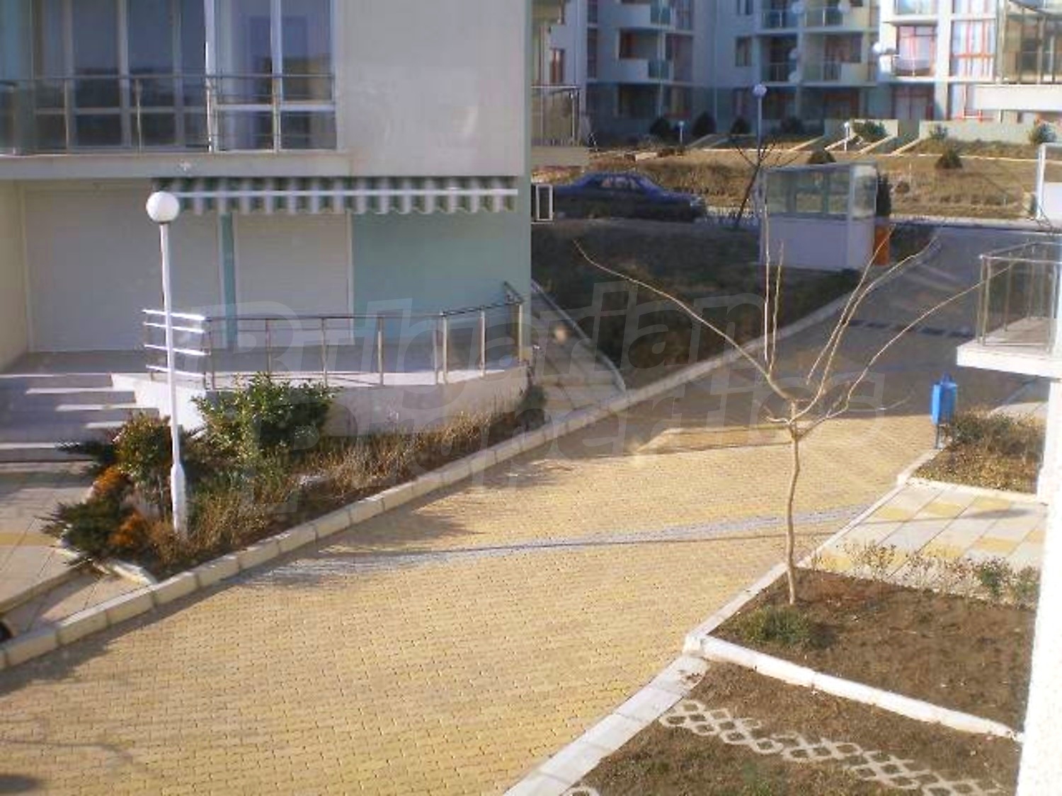 Gallery Picture 19