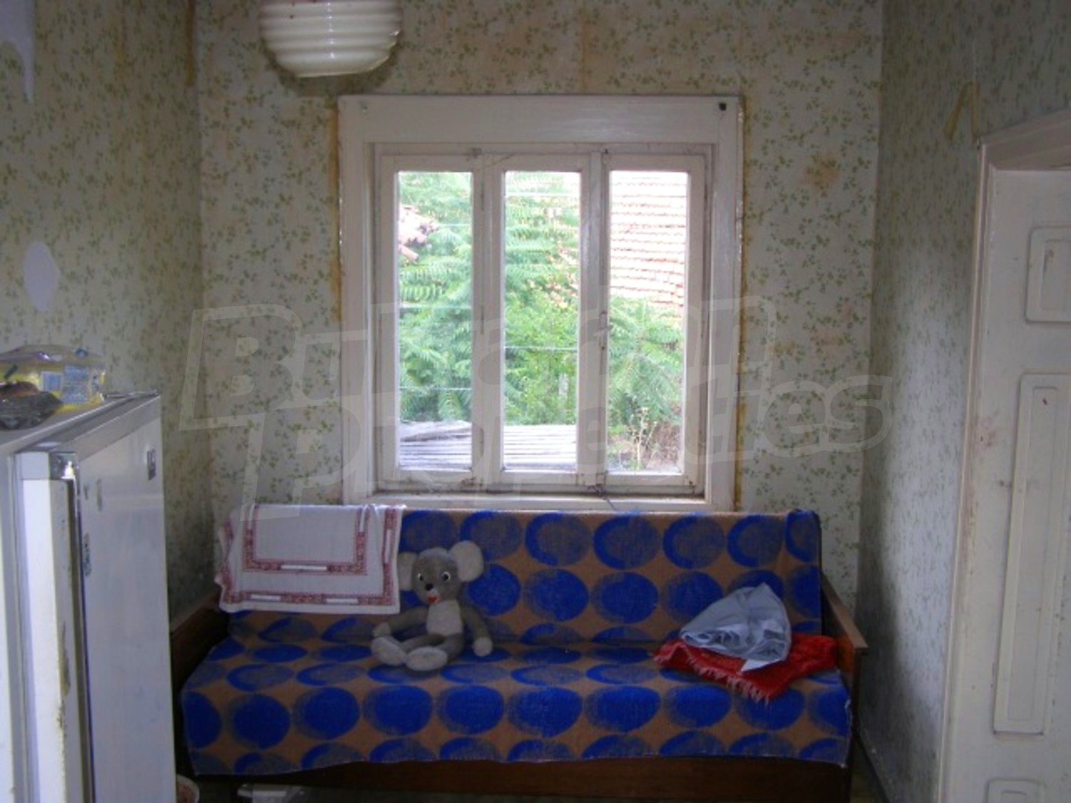 Gallery Picture 10