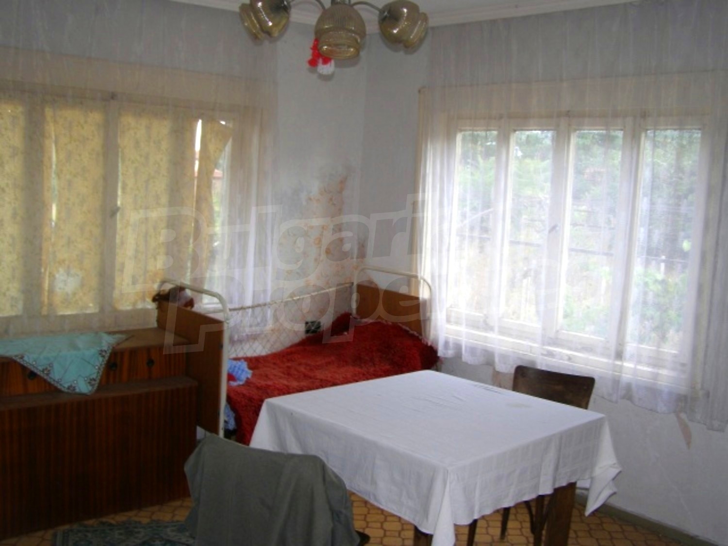 Gallery Picture 12