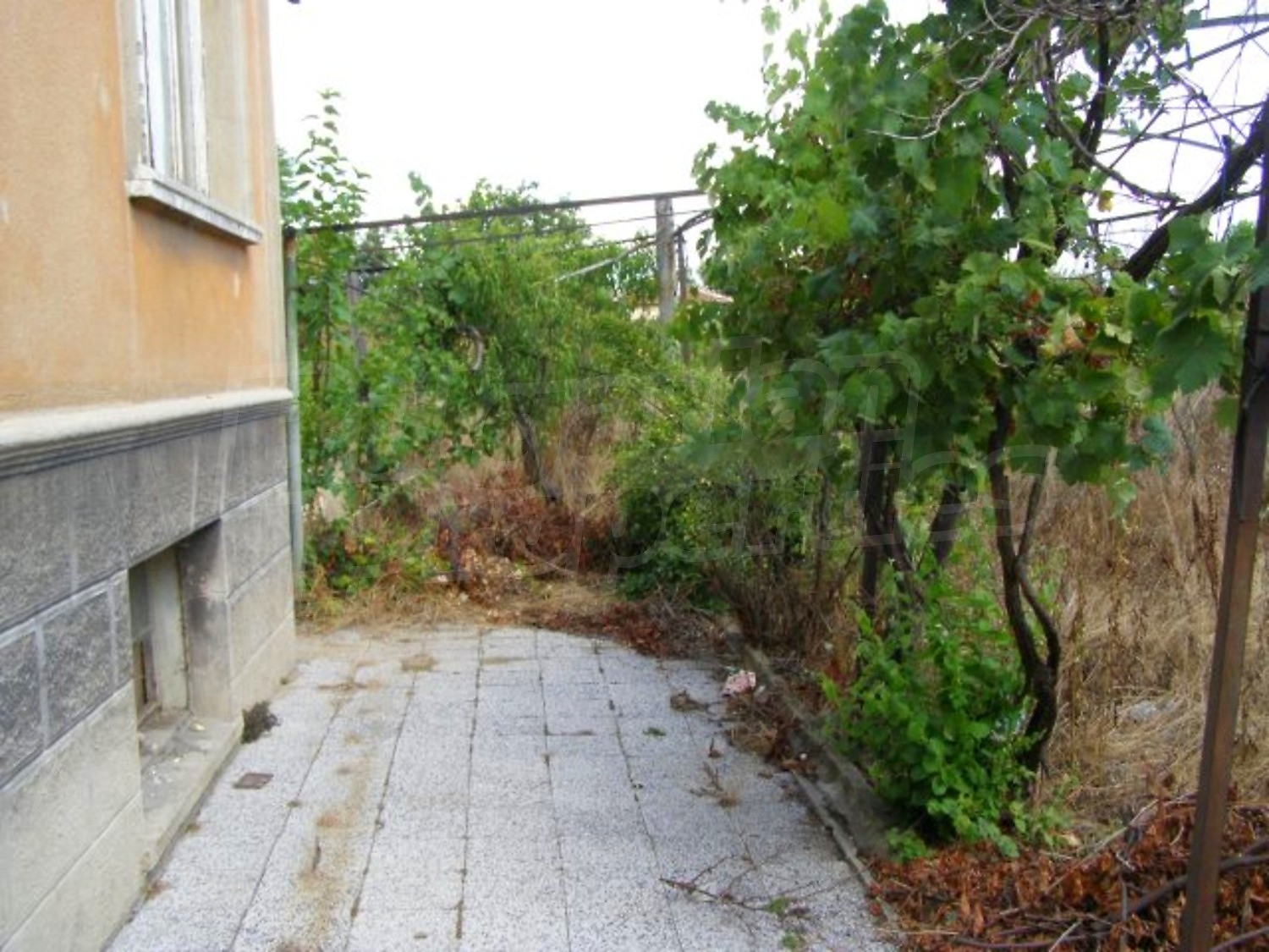 Gallery Picture 17