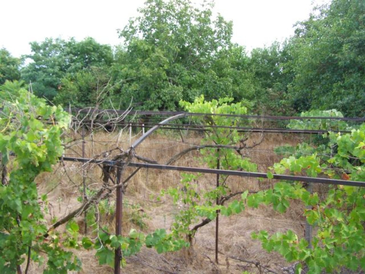 Gallery Picture 18