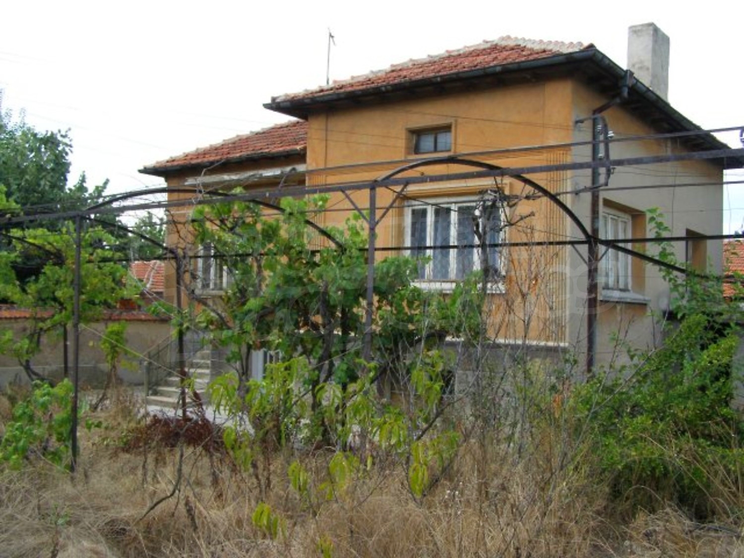 Gallery Picture 2