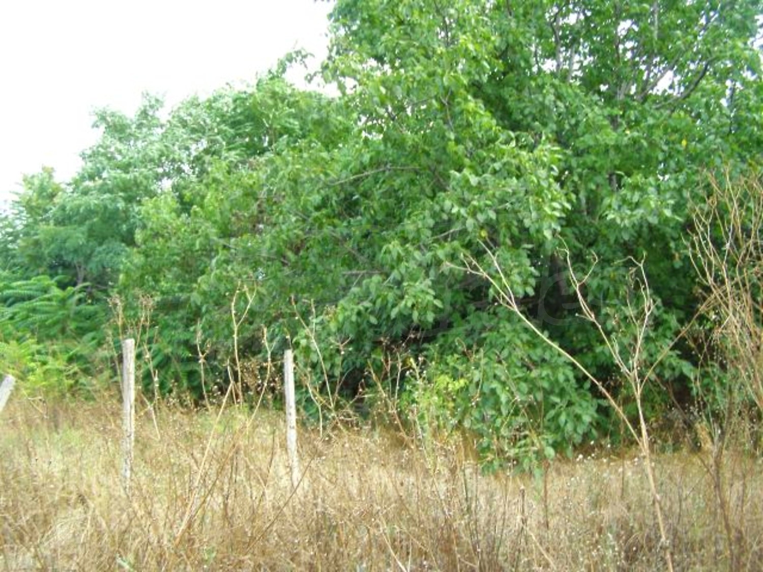 Gallery Picture 22