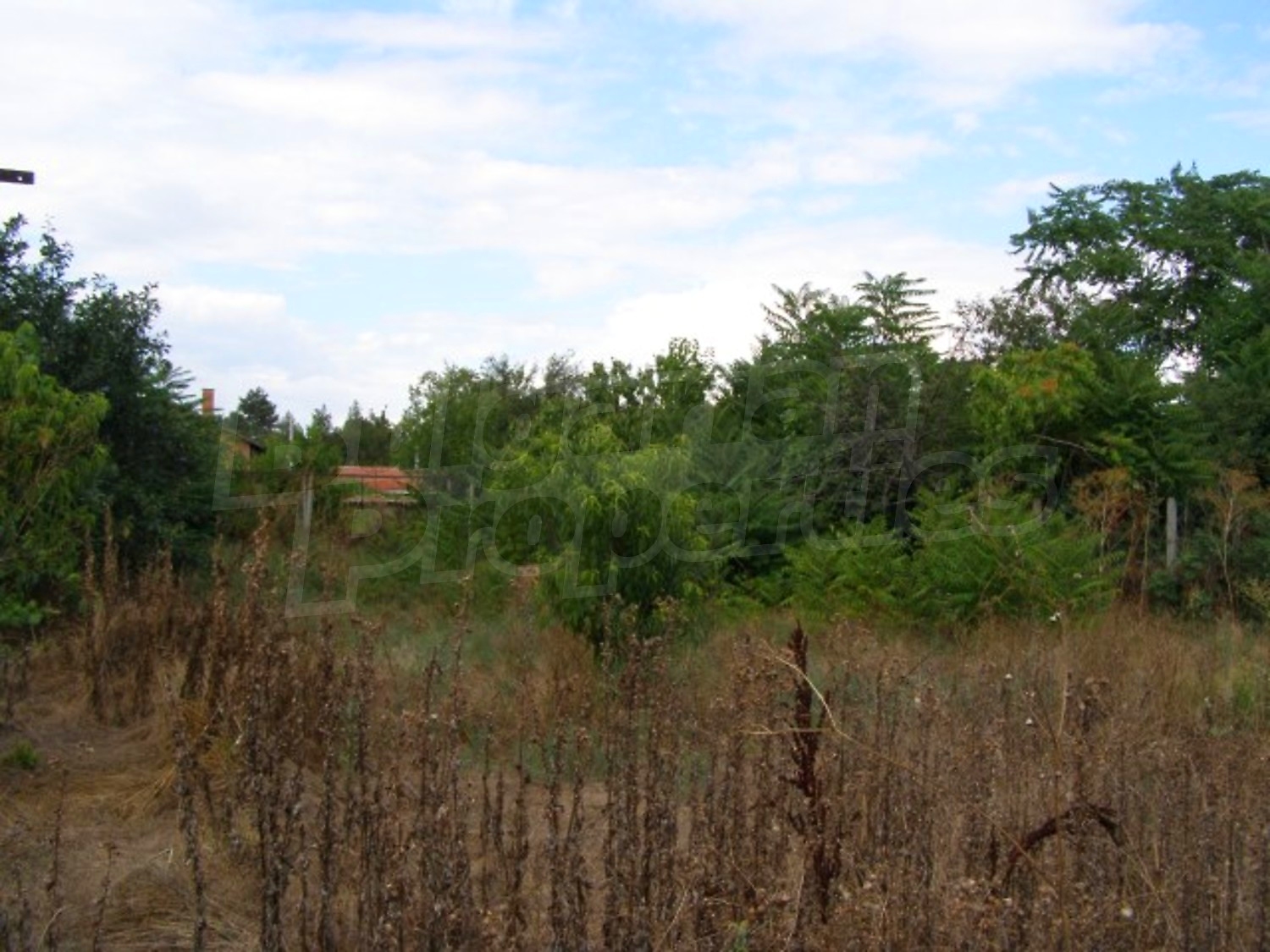 Gallery Picture 23