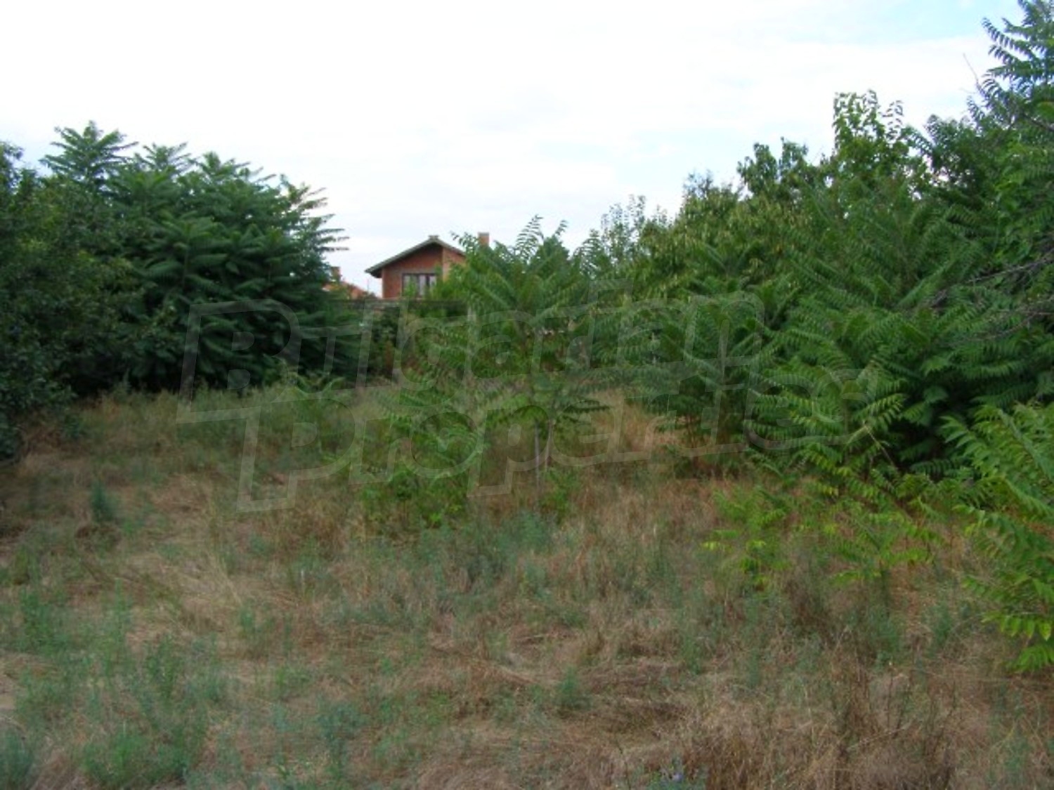 Gallery Picture 24