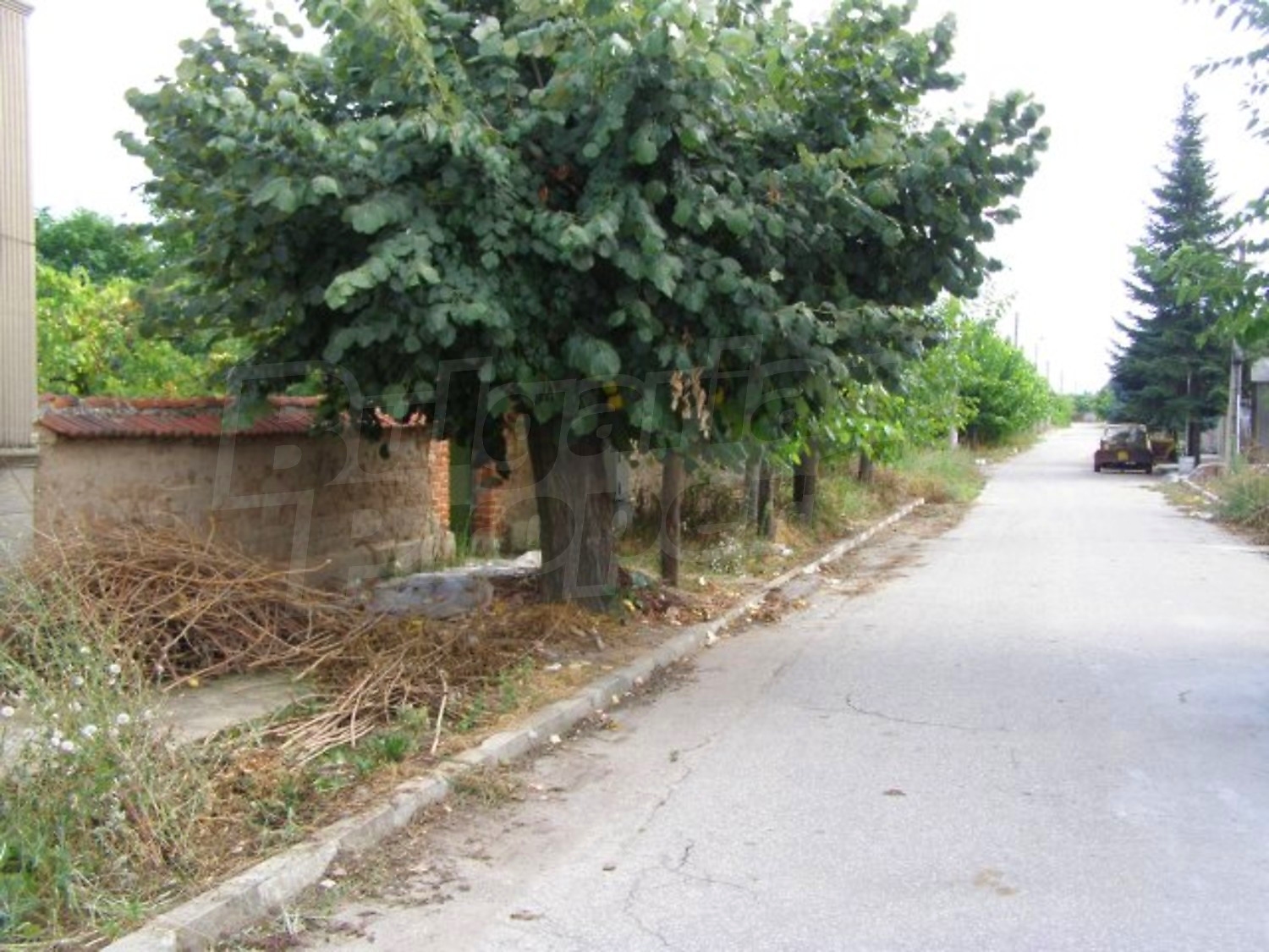 Gallery Picture 28