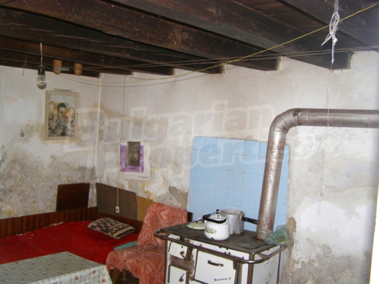 Gallery Picture 7