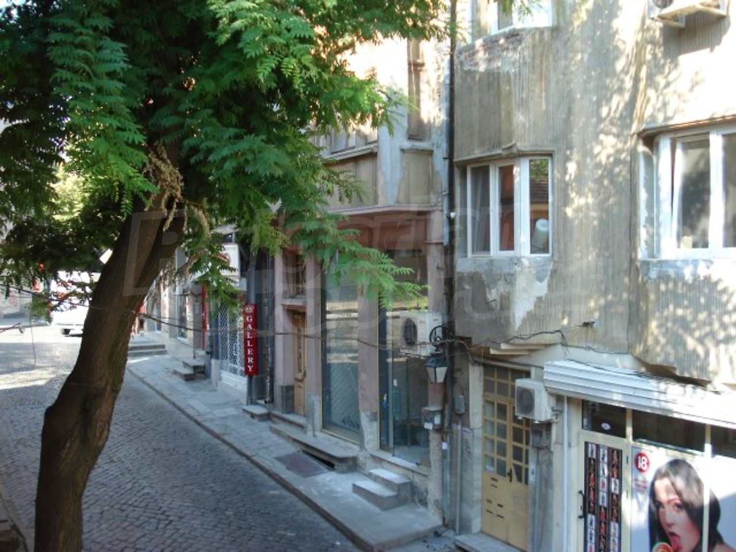 Gallery Picture 11