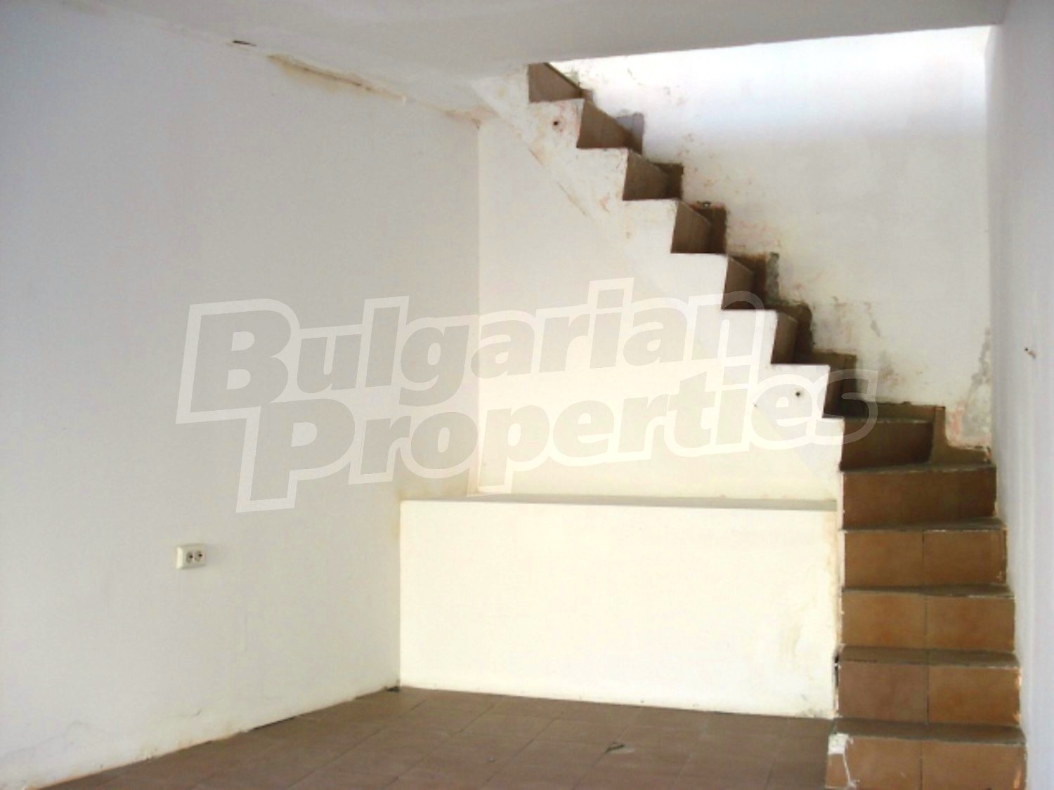Gallery Picture 3