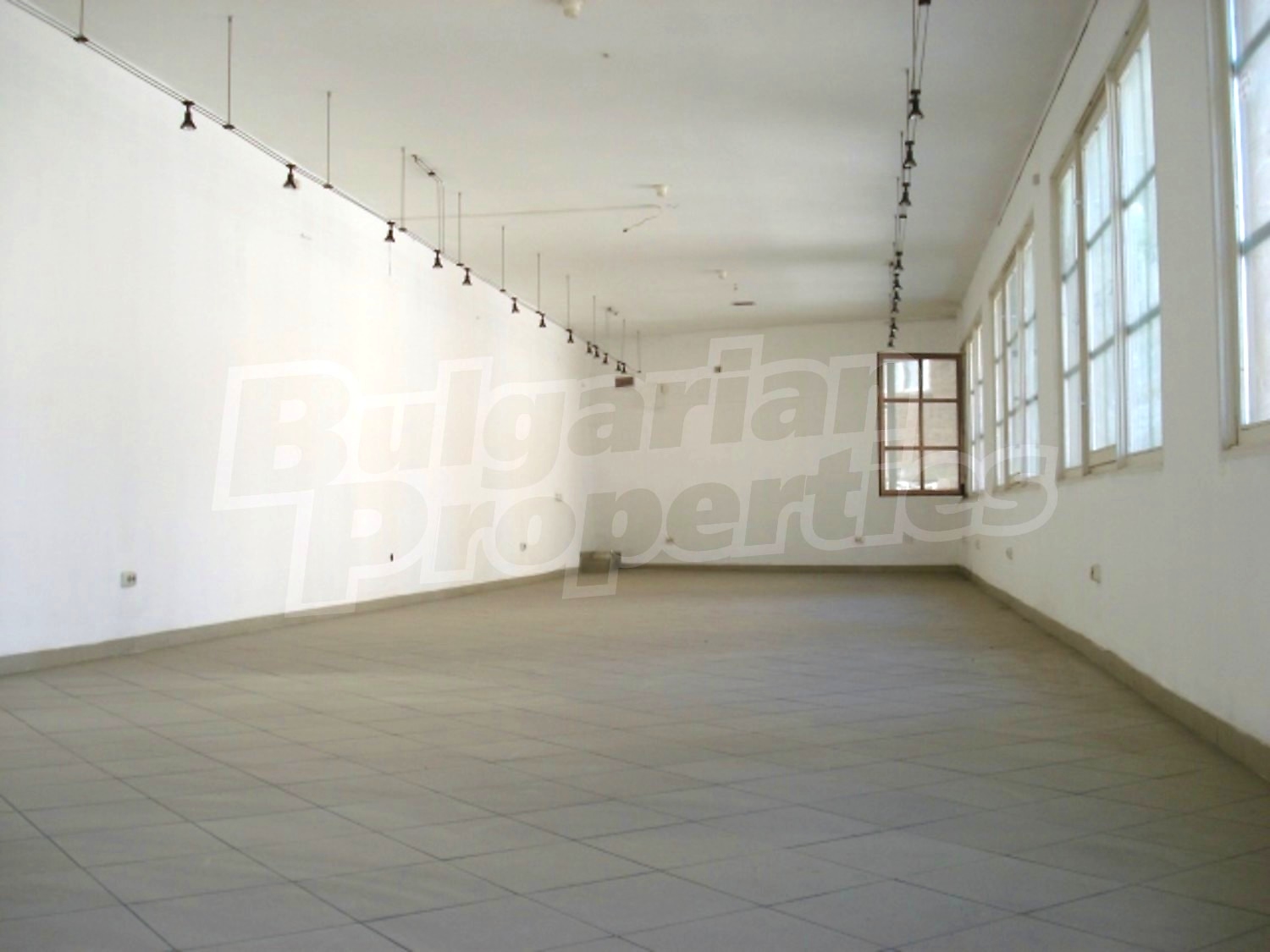 Gallery Picture 8
