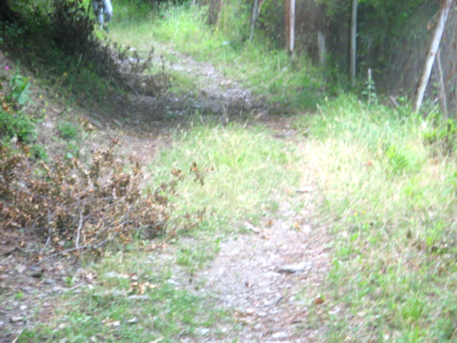 Gallery Picture 6