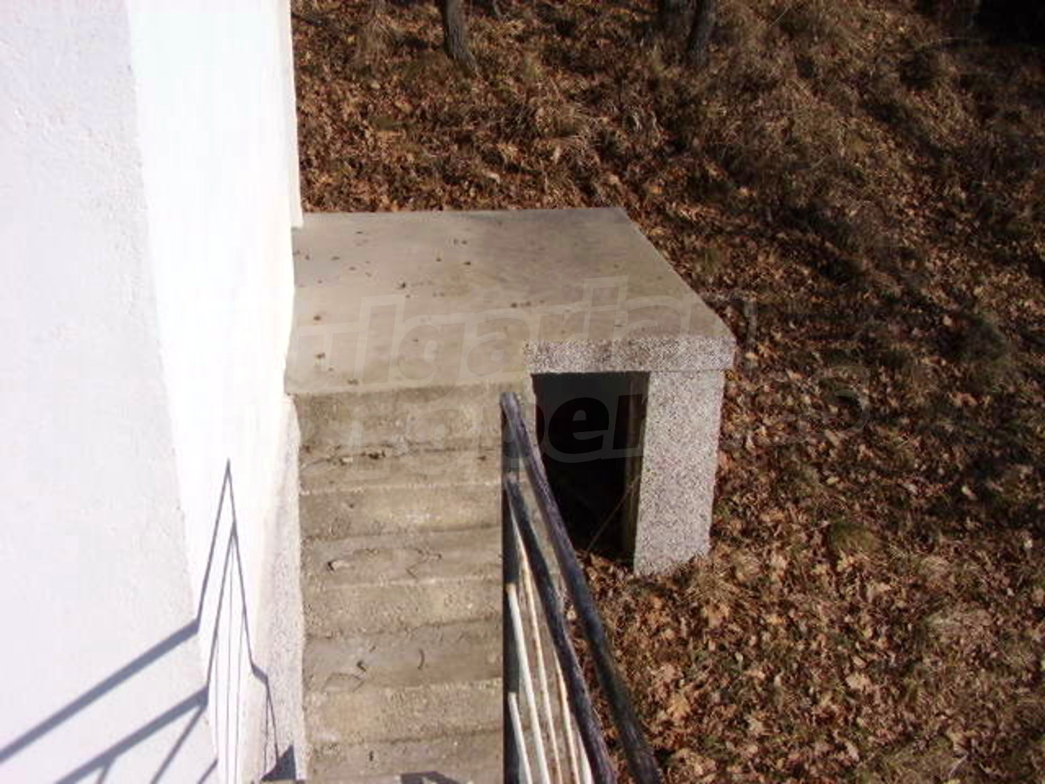 Gallery Picture 13