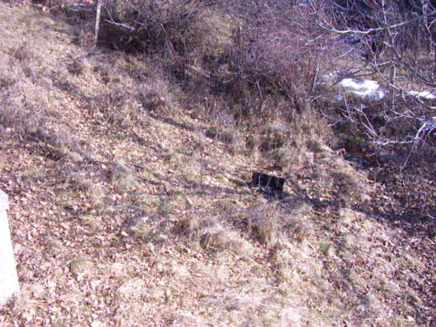 Gallery Picture 14