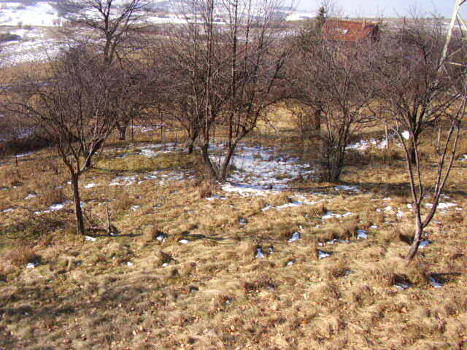 Gallery Picture 15