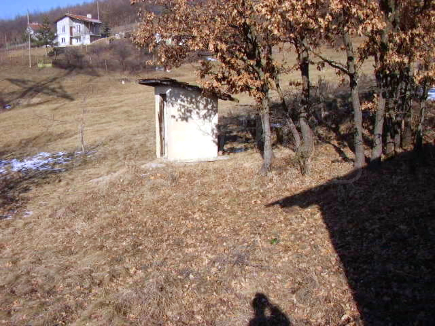 Gallery Picture 16