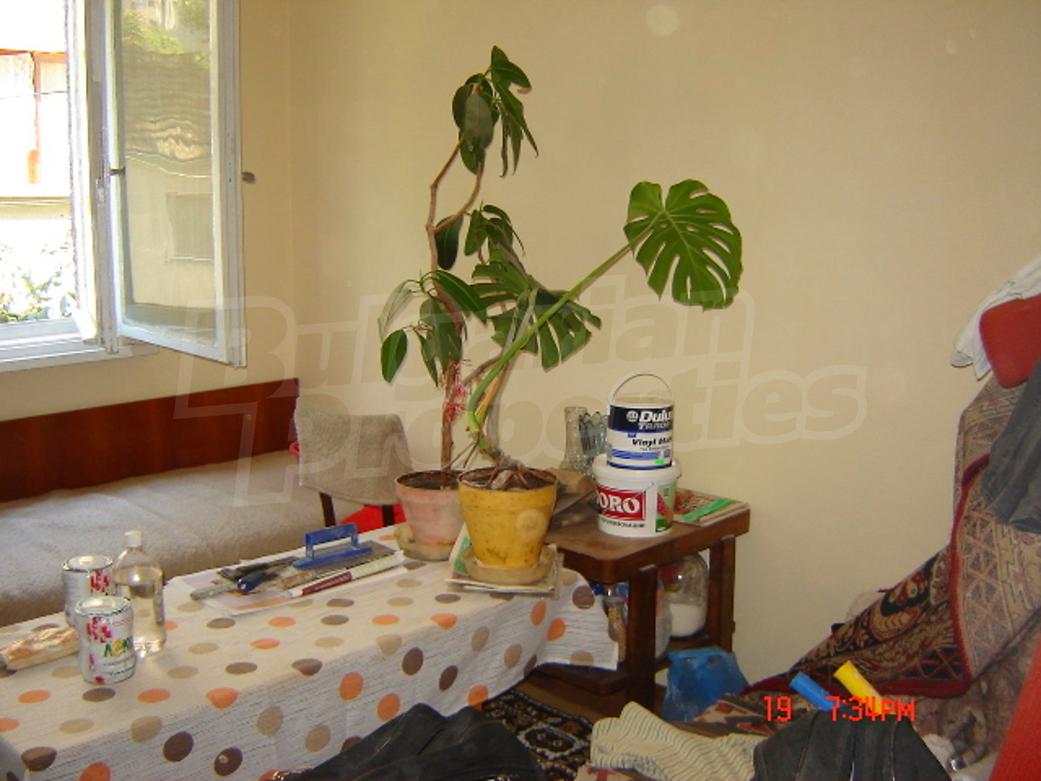Gallery Picture 10