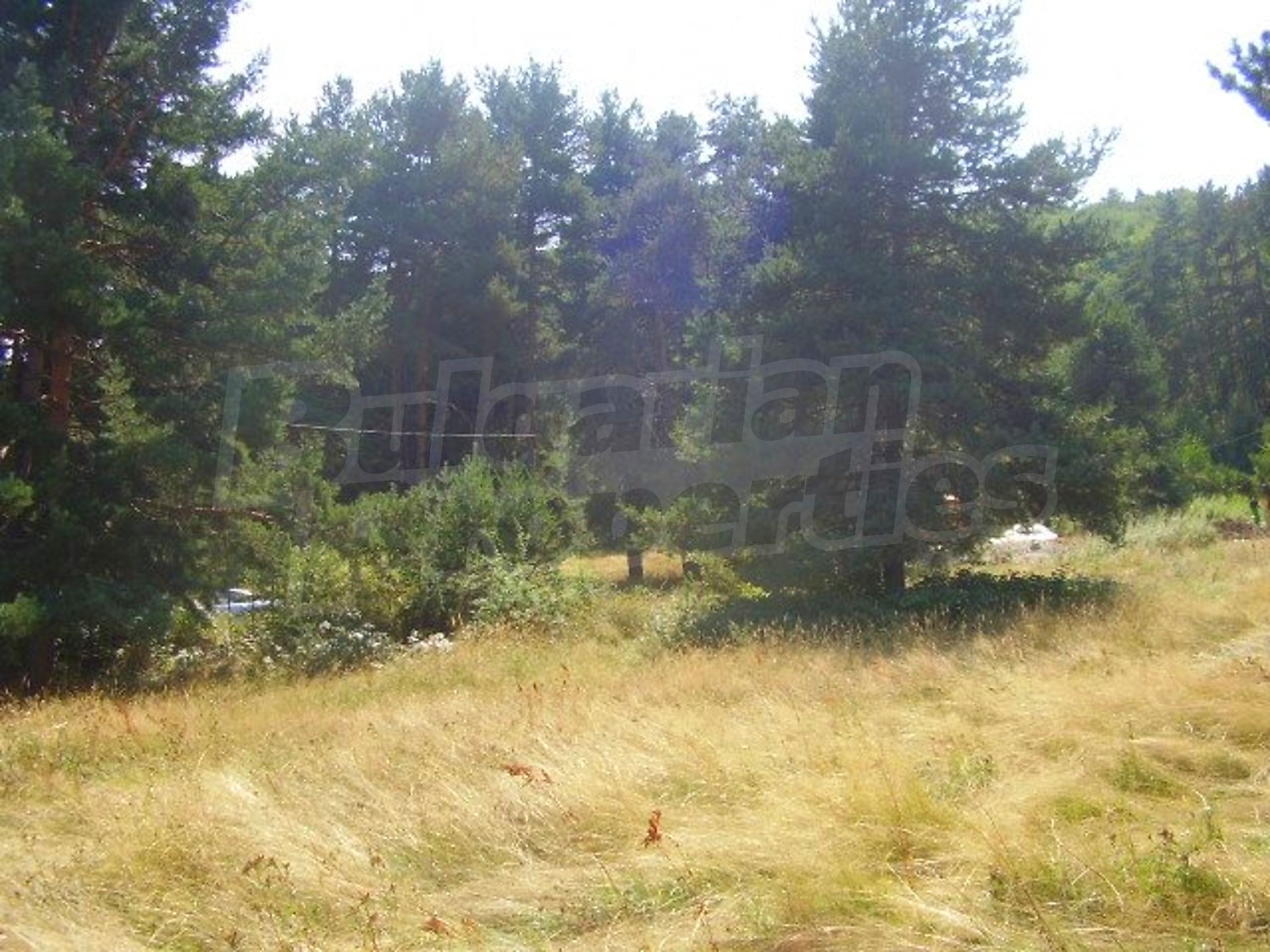 Gallery Picture 5