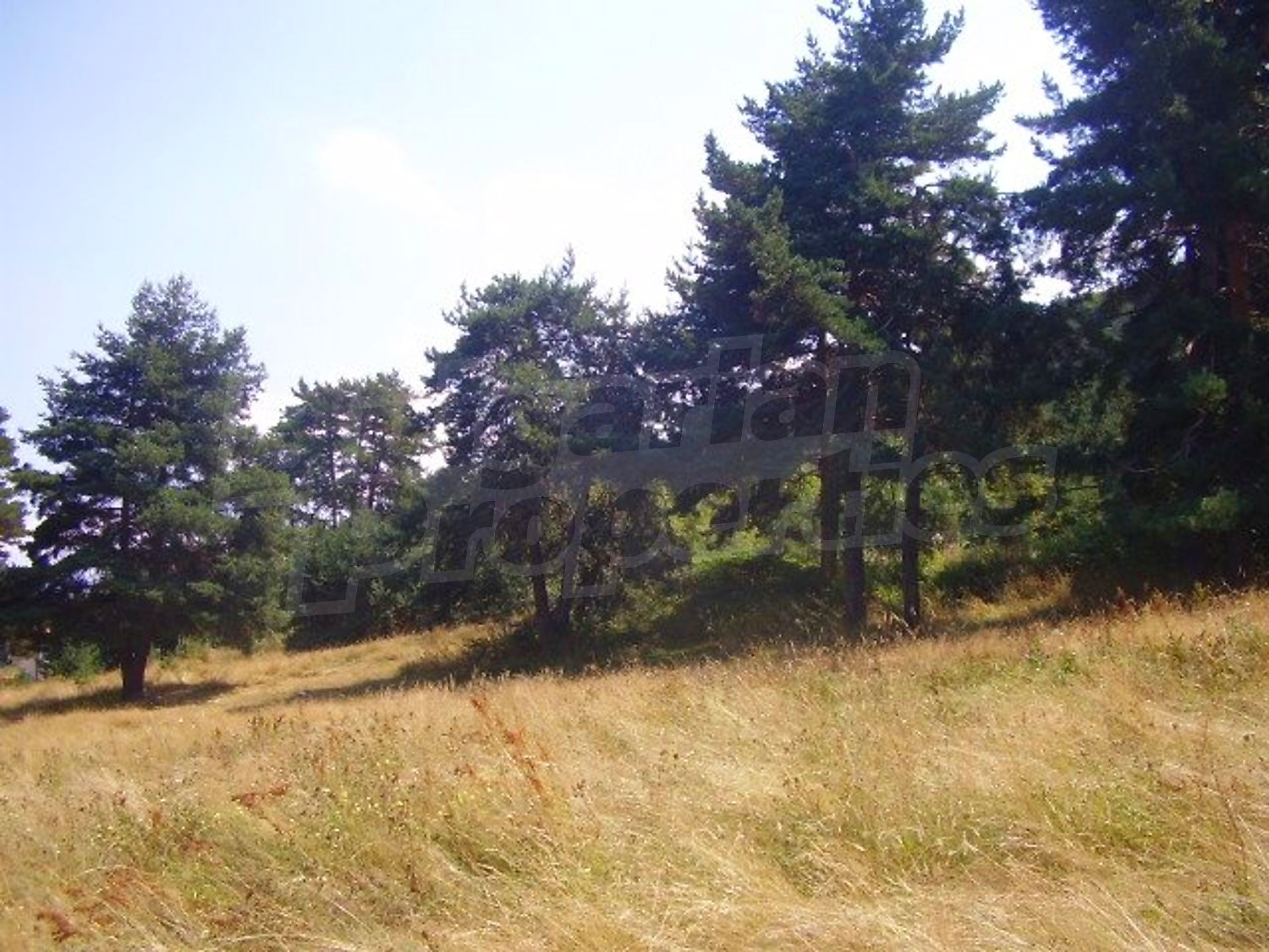 Gallery Picture 6