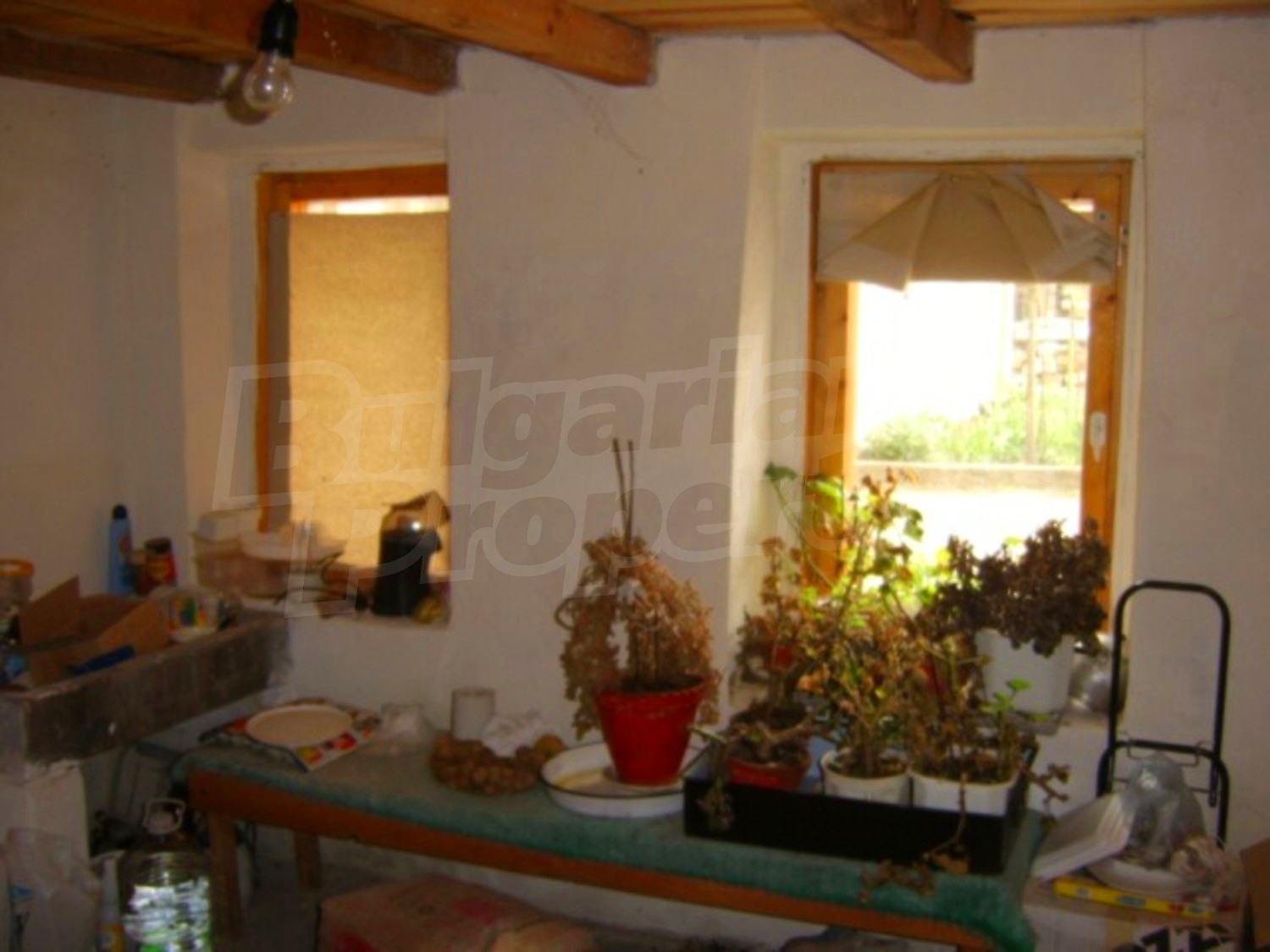 Gallery Picture 16