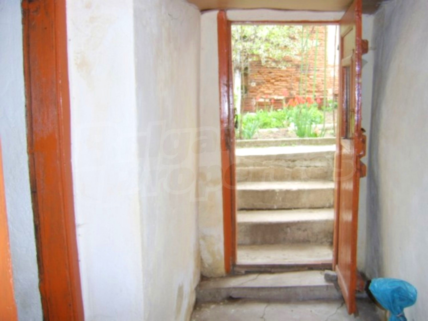 Gallery Picture 17