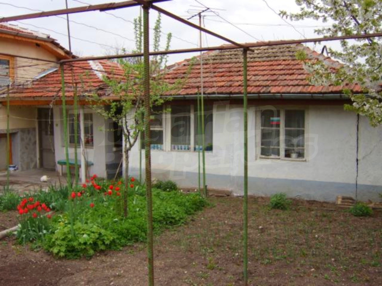 Gallery Picture 18
