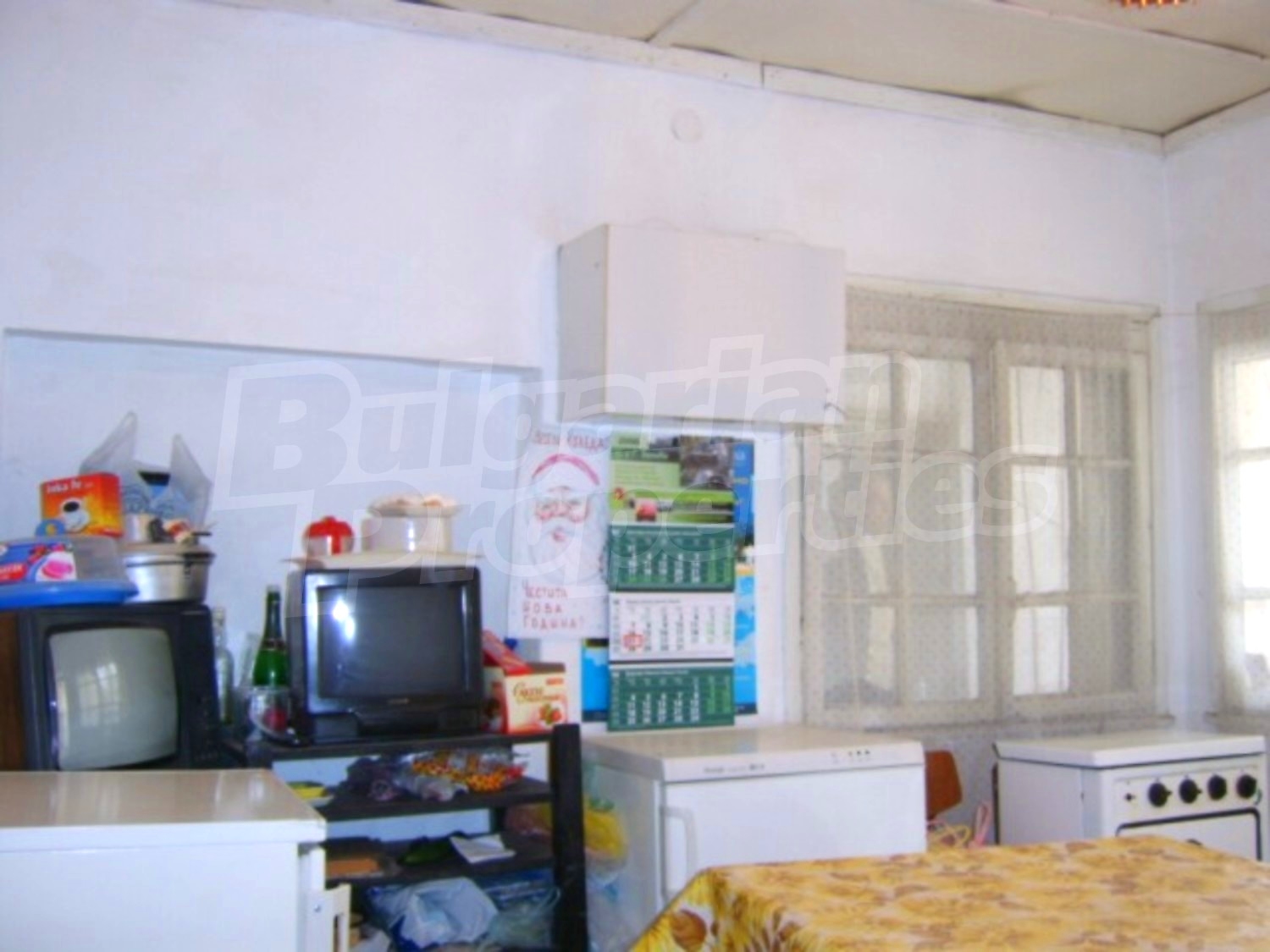 Gallery Picture 19