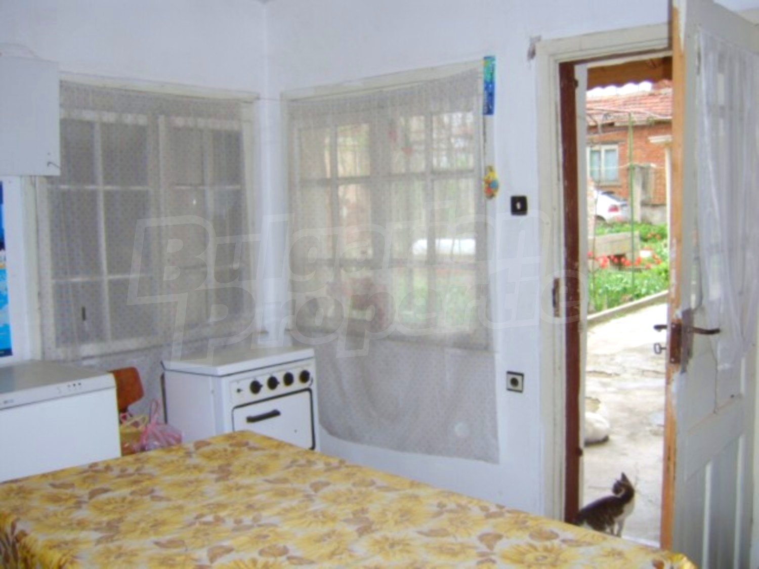 Gallery Picture 21