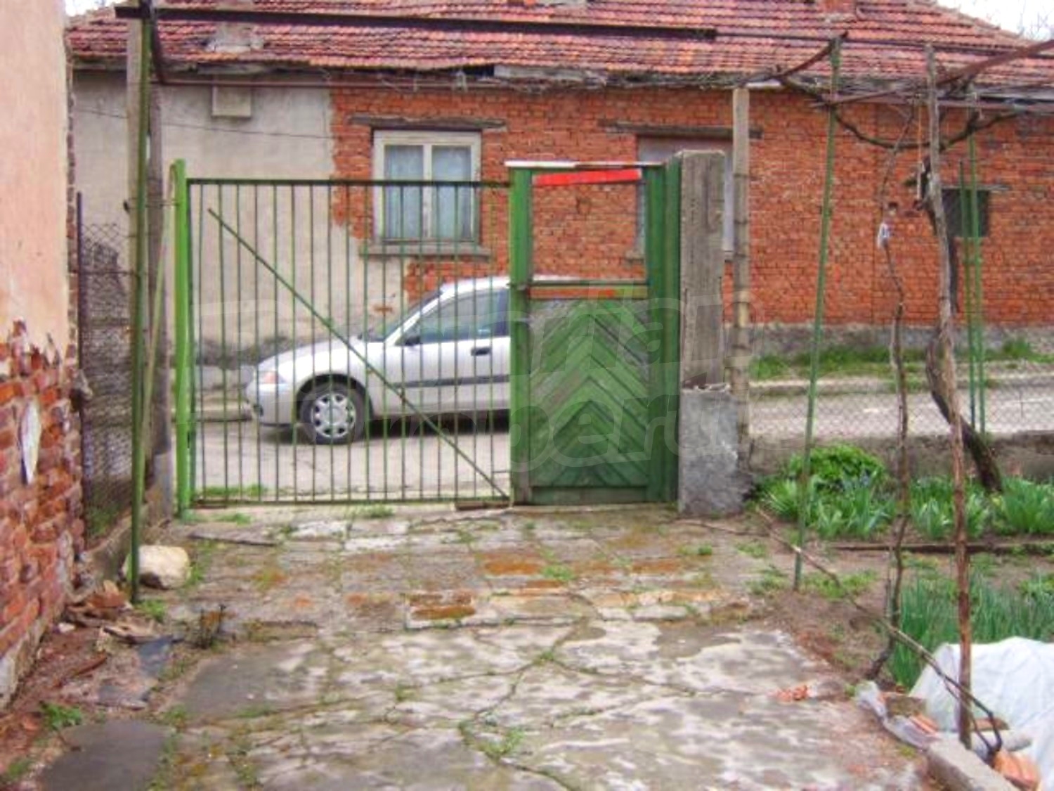 Gallery Picture 27