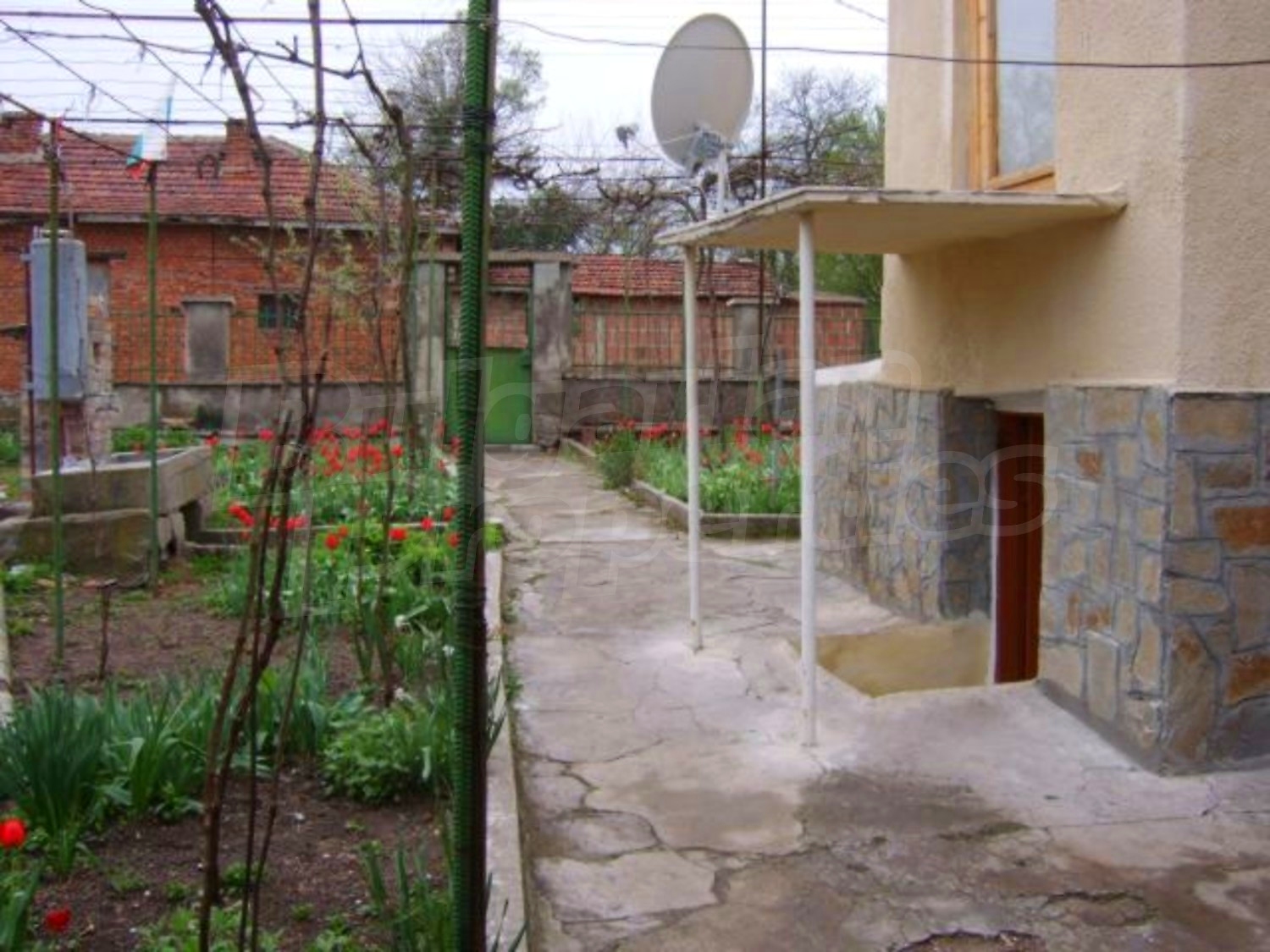 Gallery Picture 28