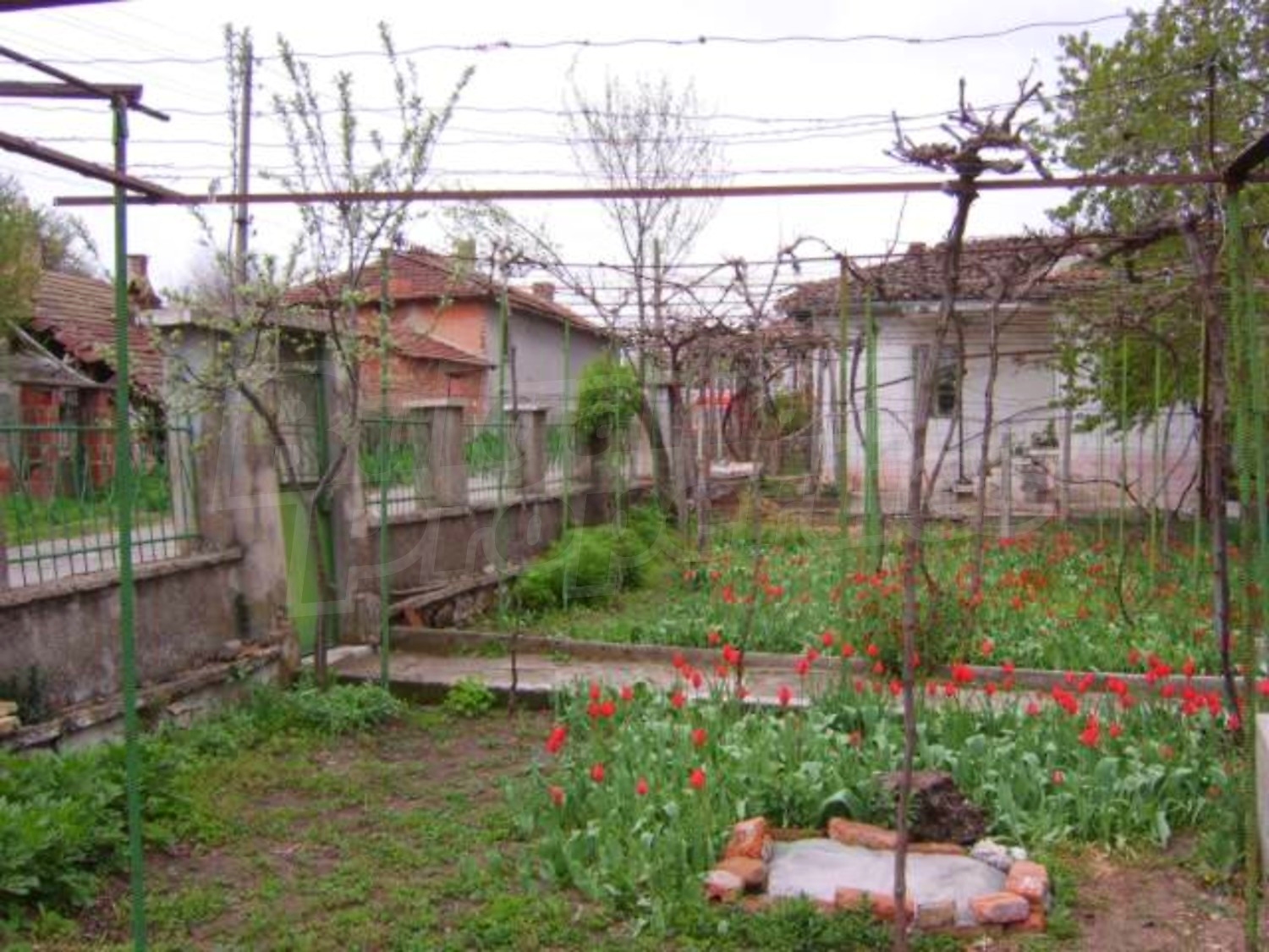 Gallery Picture 29