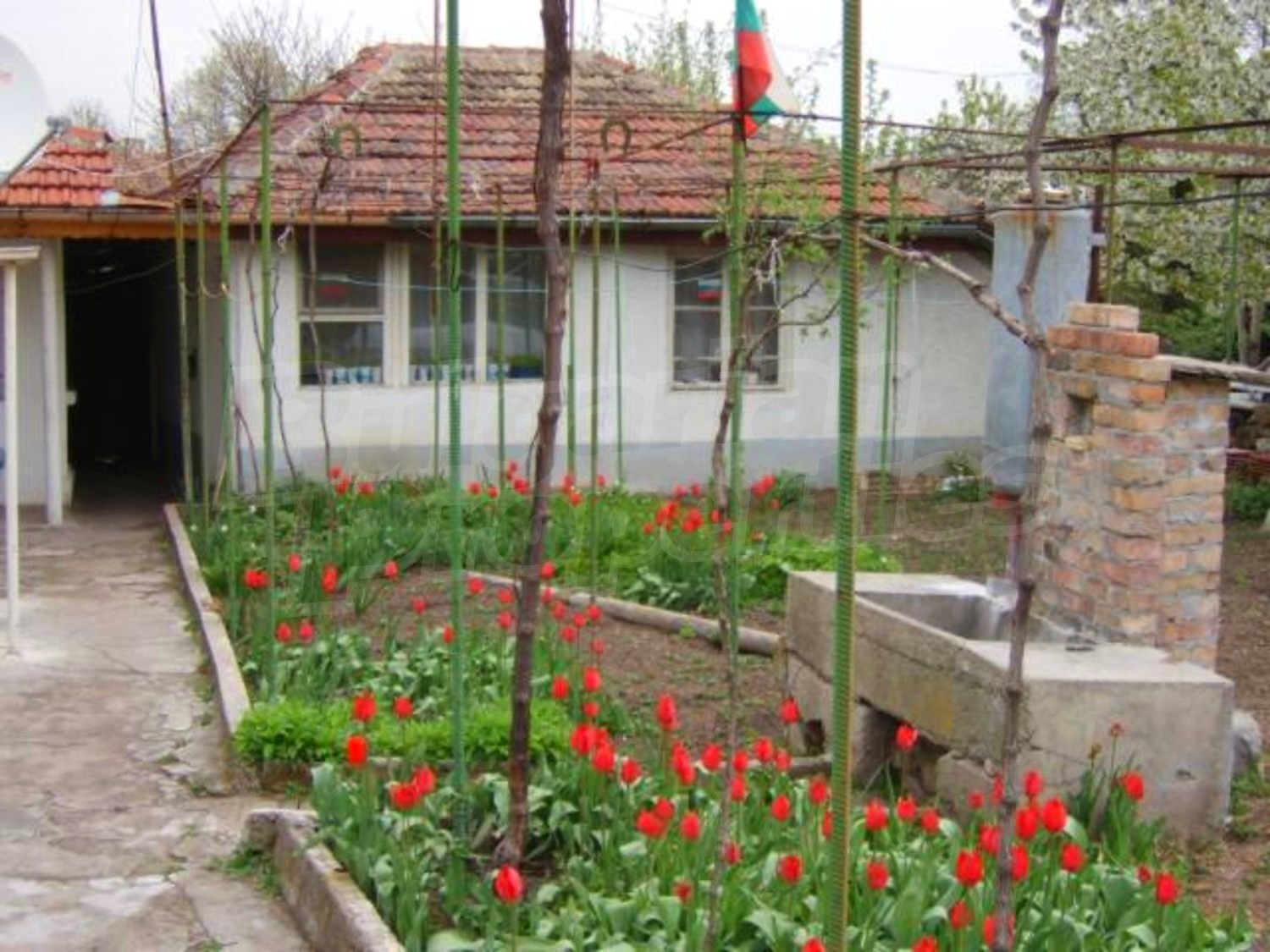Gallery Picture 30