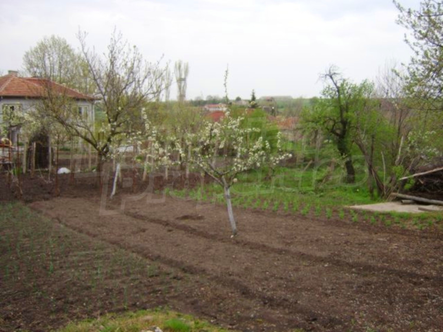 Gallery Picture 31