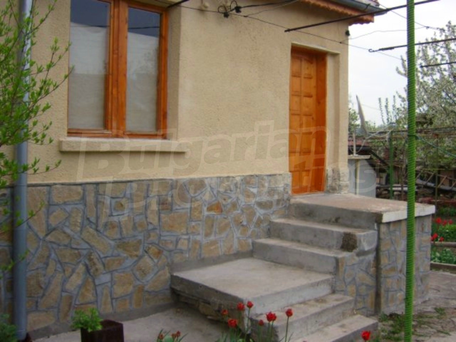 Gallery Picture 6