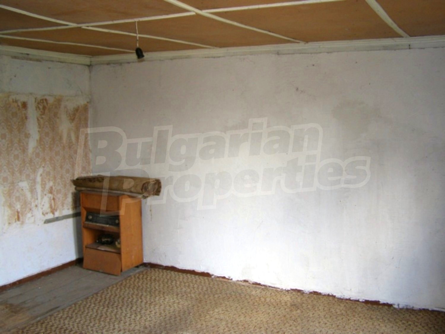 Gallery Picture 12
