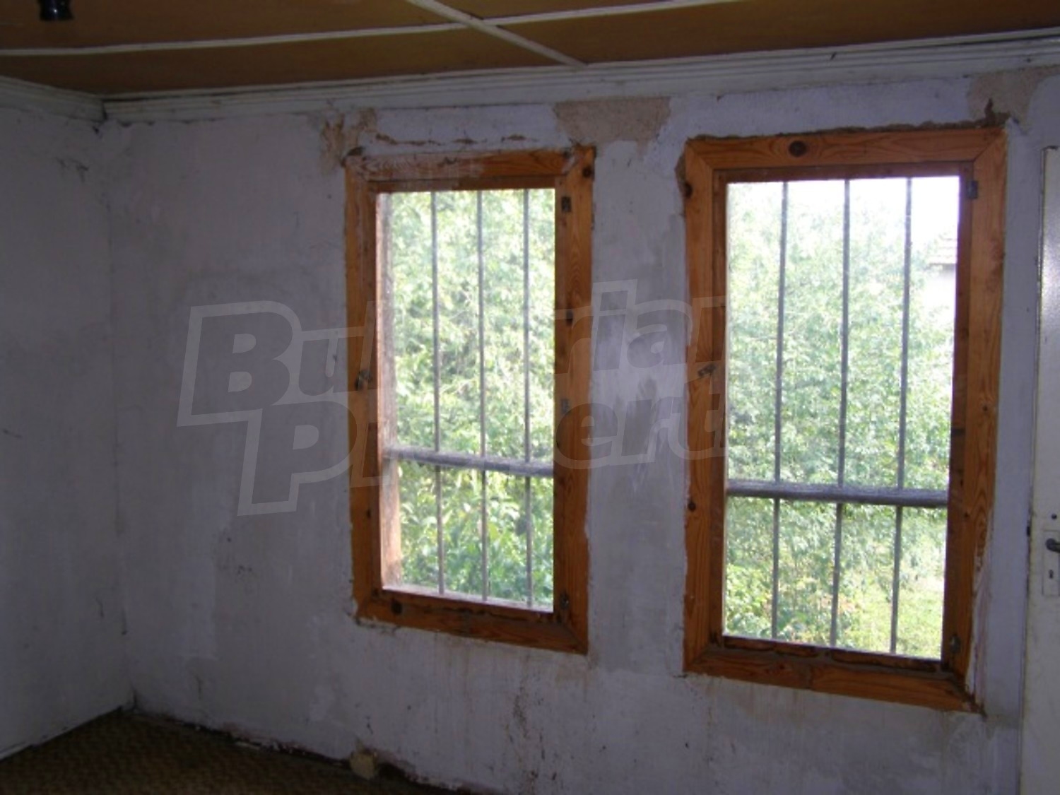Gallery Picture 14