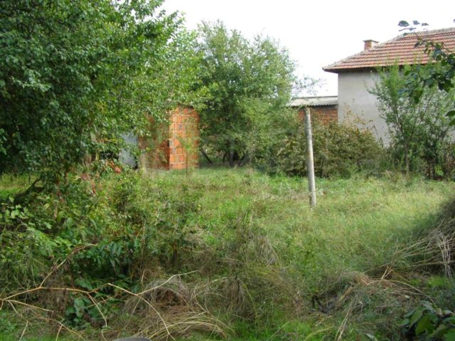 Gallery Picture 15