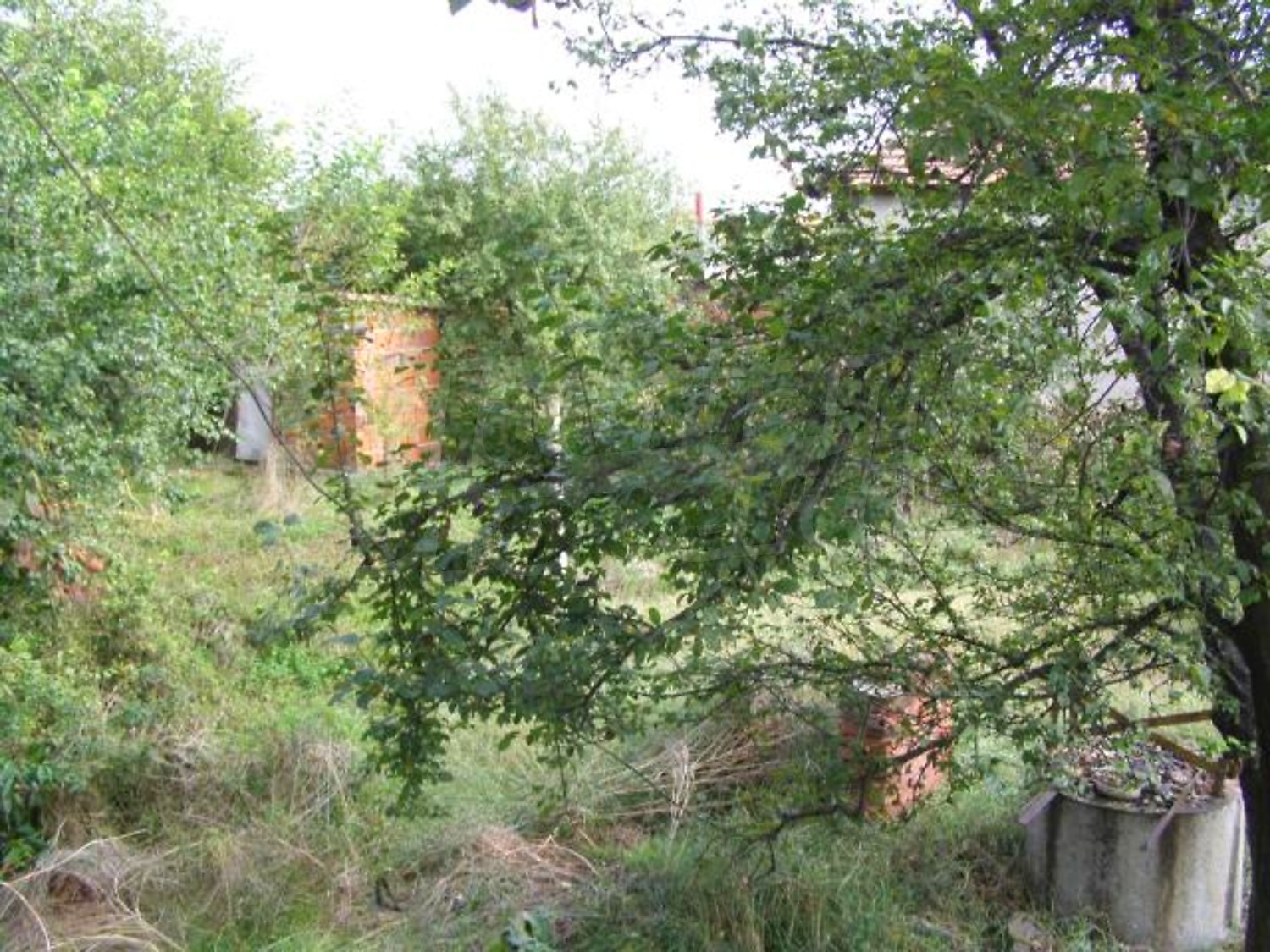 Gallery Picture 16