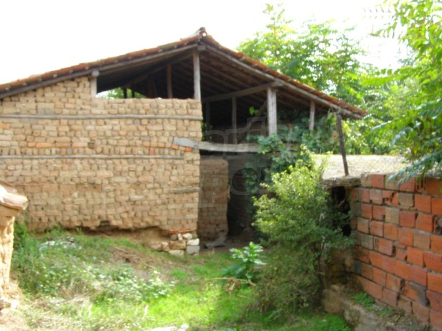 Gallery Picture 23