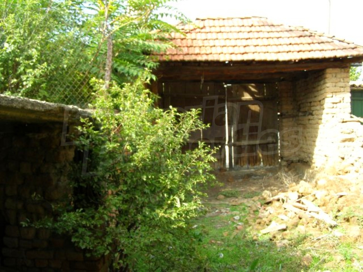 Gallery Picture 24
