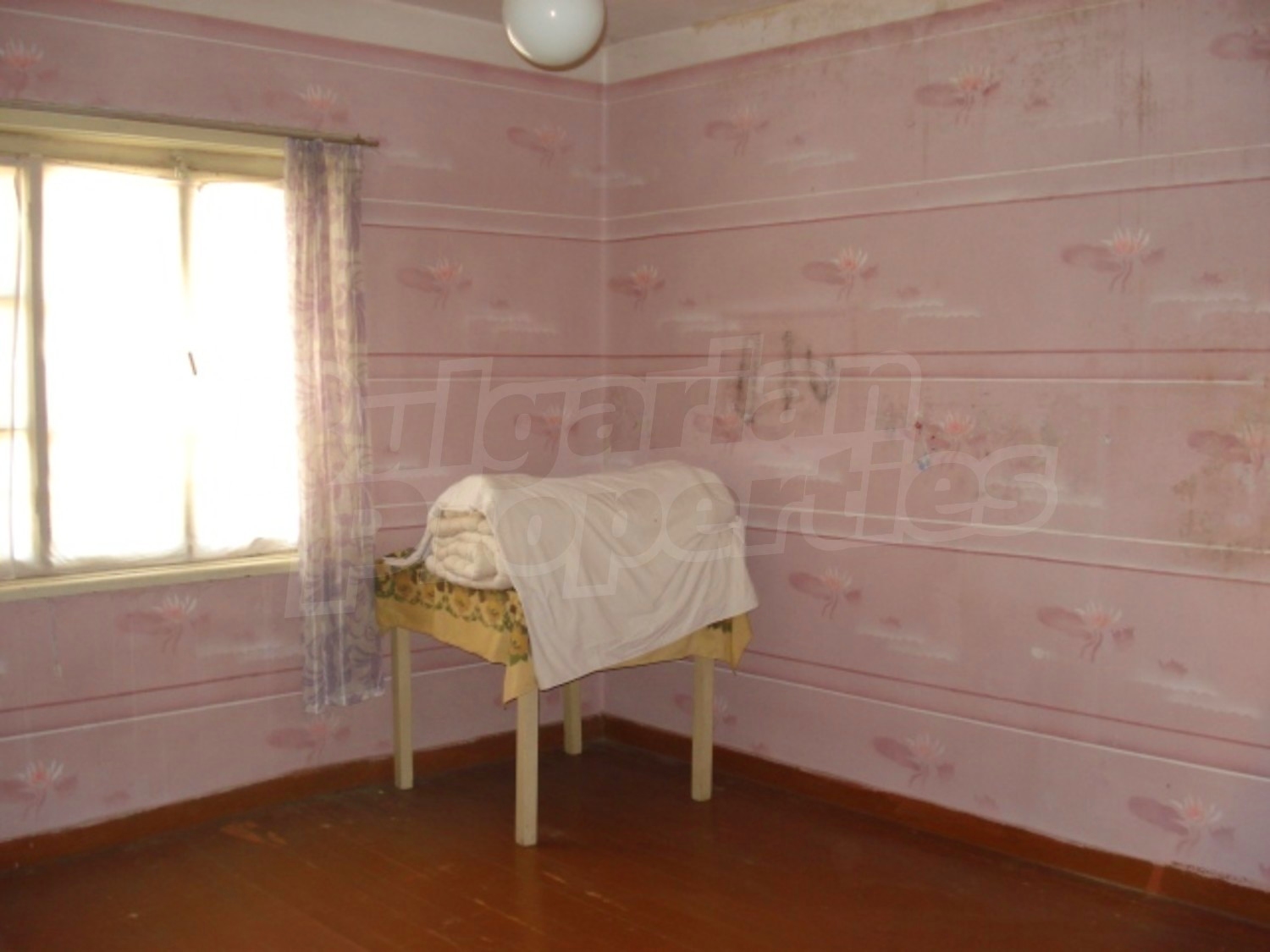 Gallery Picture 10