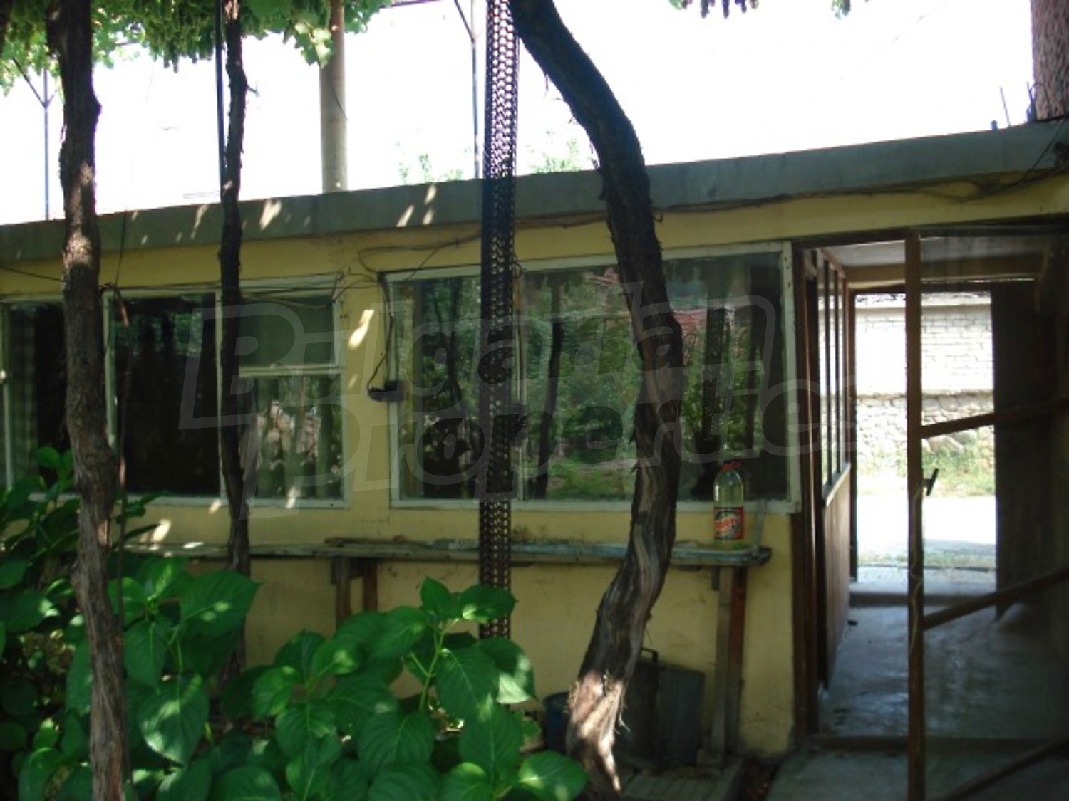 Gallery Picture 14