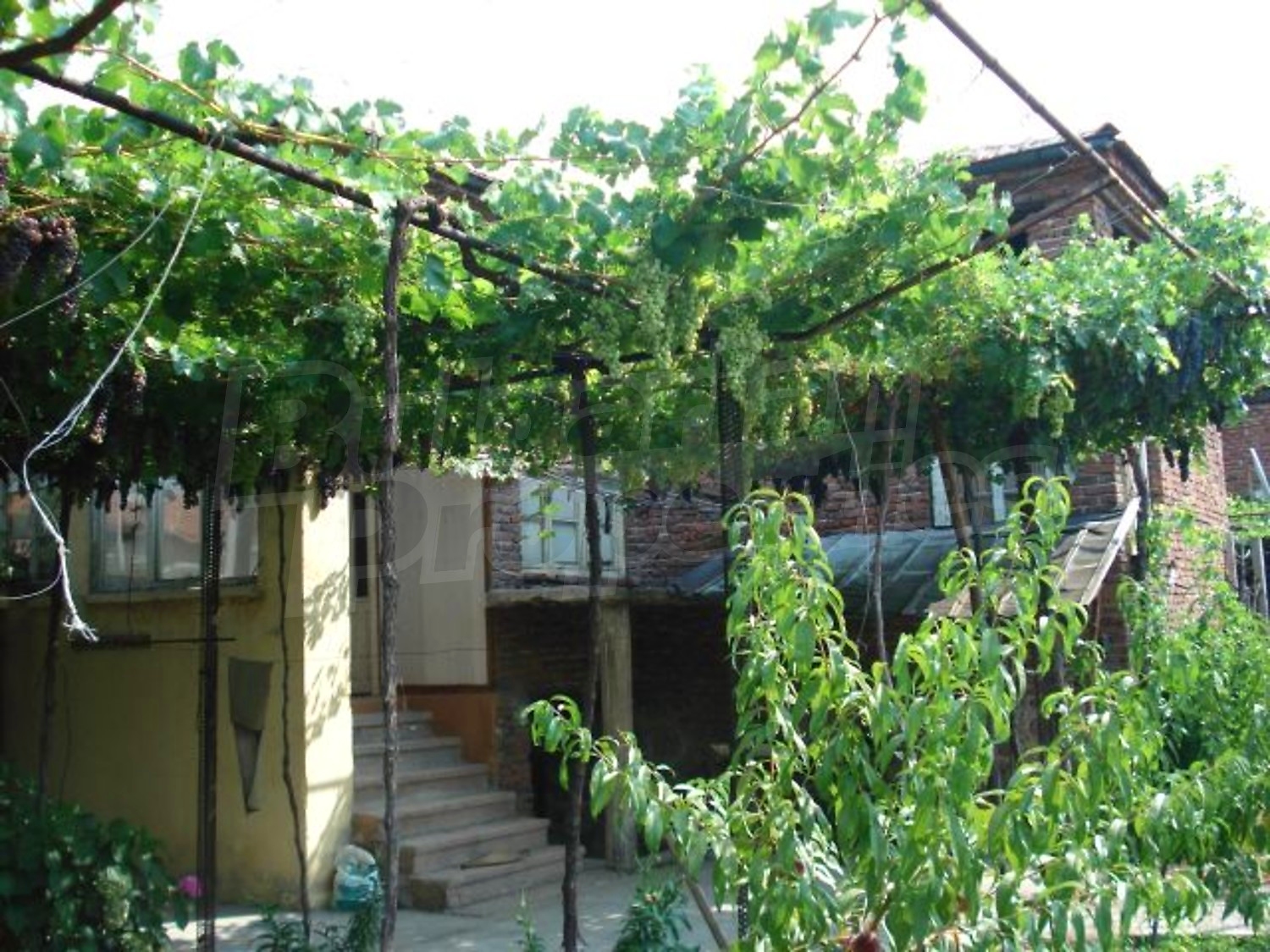 Gallery Picture 19