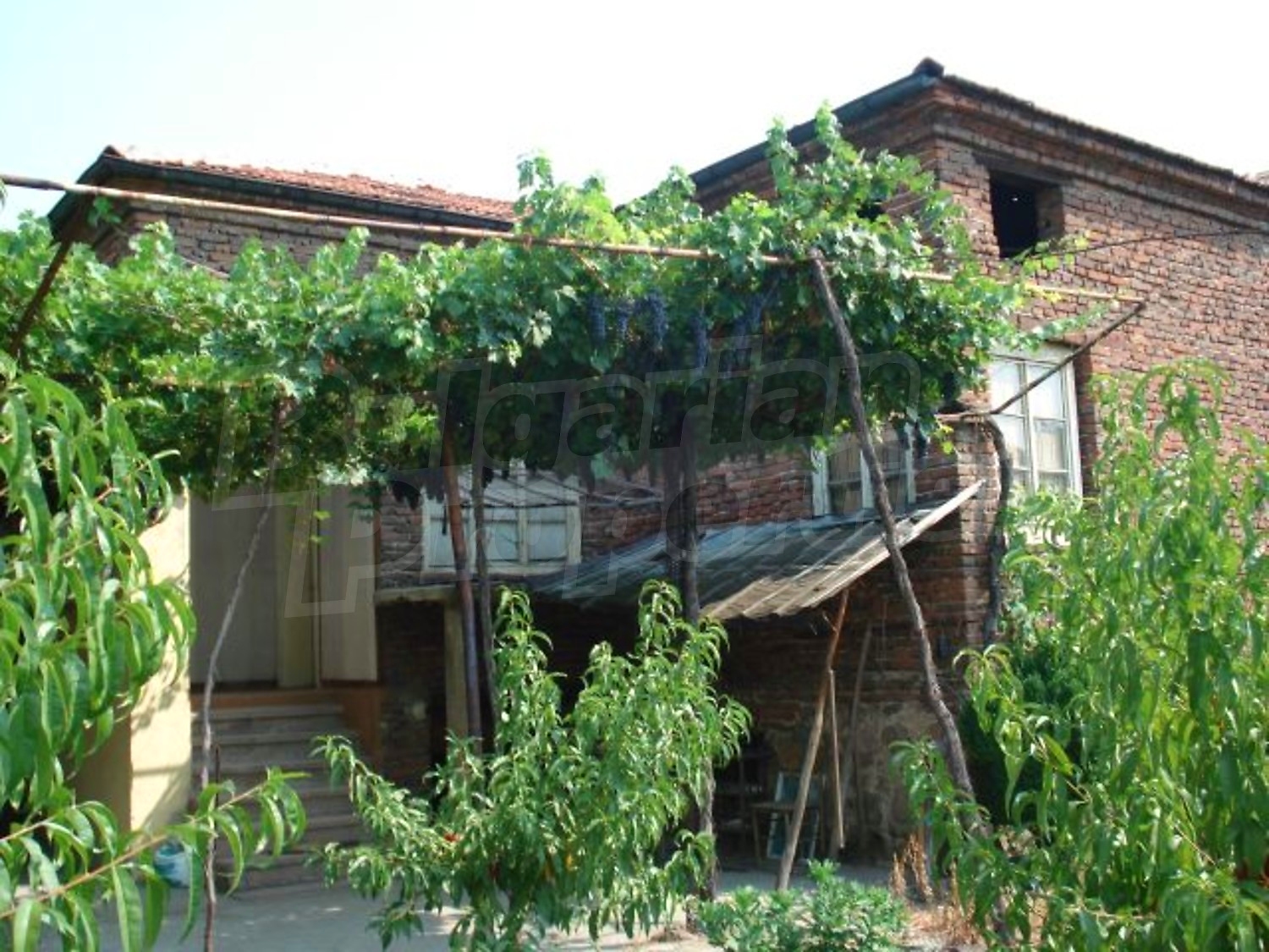 Gallery Picture 2
