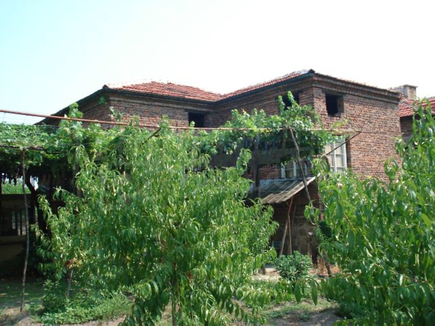 Gallery Picture 20